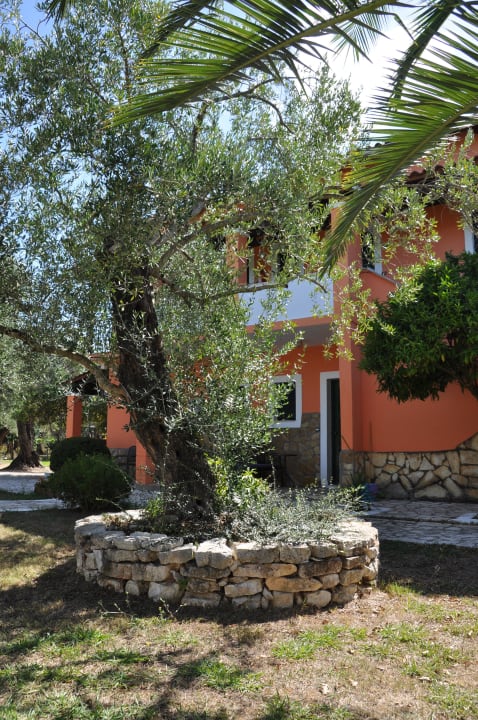 Olivenbaum Villa Depis