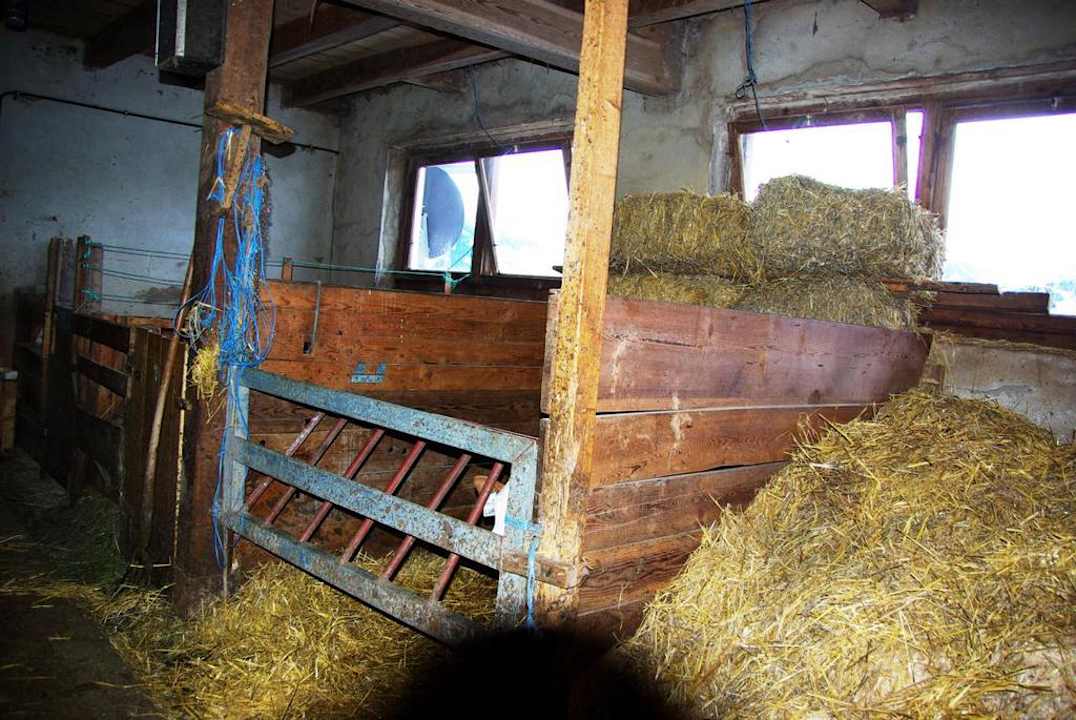 Stall Ferienheim Foischinghof