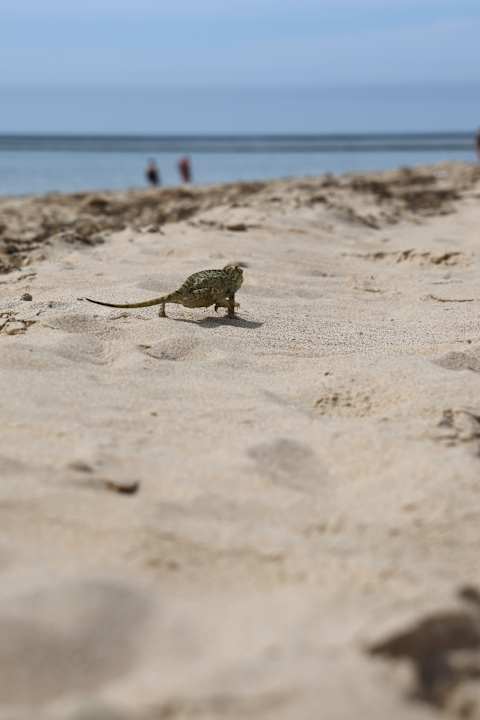 Sonstiges Hotel Playa de la Luz