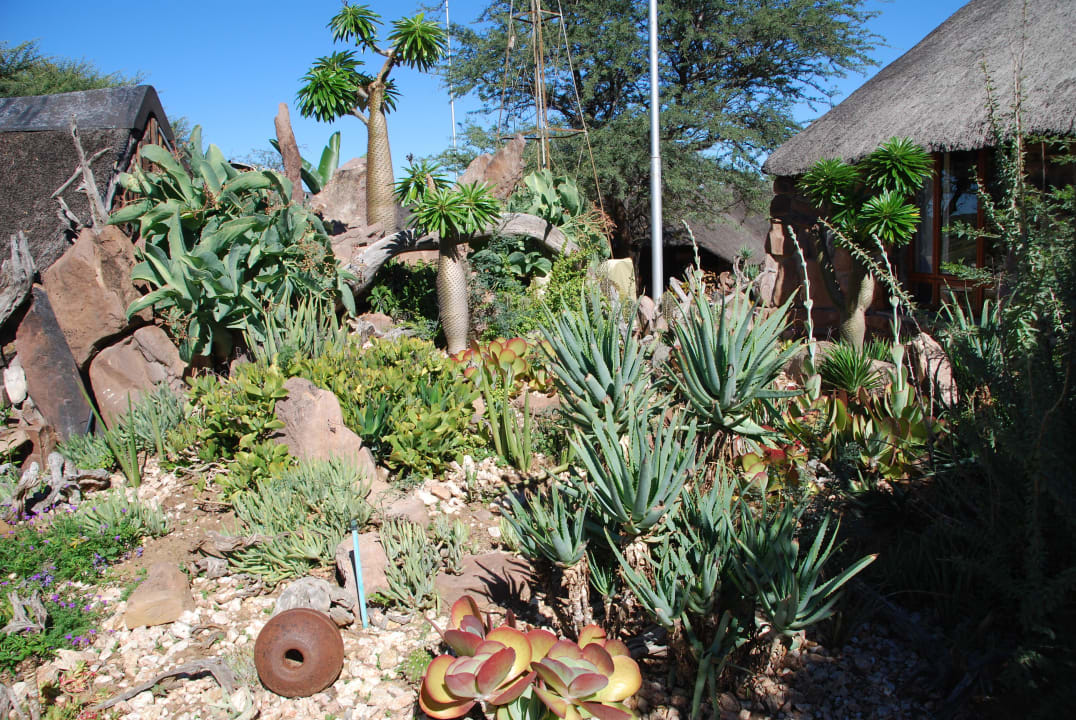 Herrlicher Steingarten Kalahari Bush Breaks Lodge