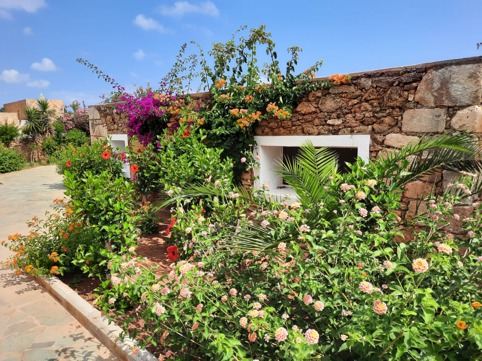 Gartenanlage Kernos Beach Hotel & Bungalows