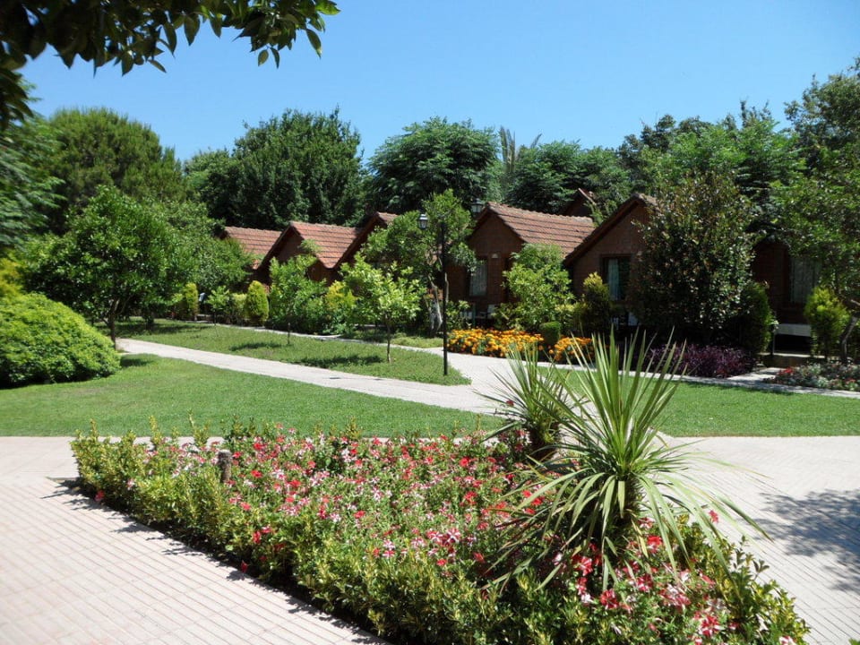 Blick von der Fotografenhütte auf Bungalows Nr.1218-1224 Can Garden Beach