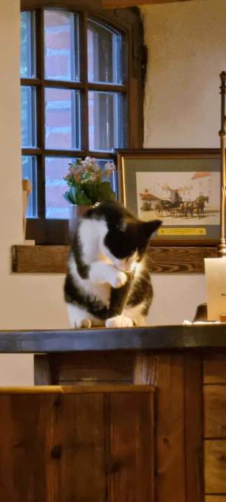 Lobby Pałac i Folwark Galiny