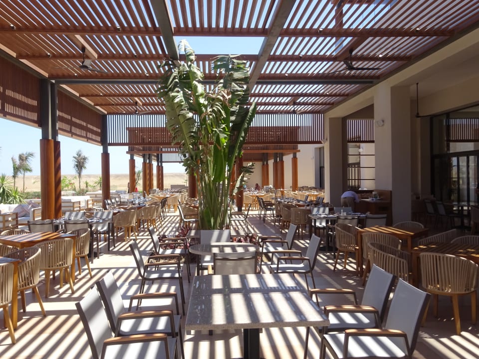 Gastro JAZ Elite Amara