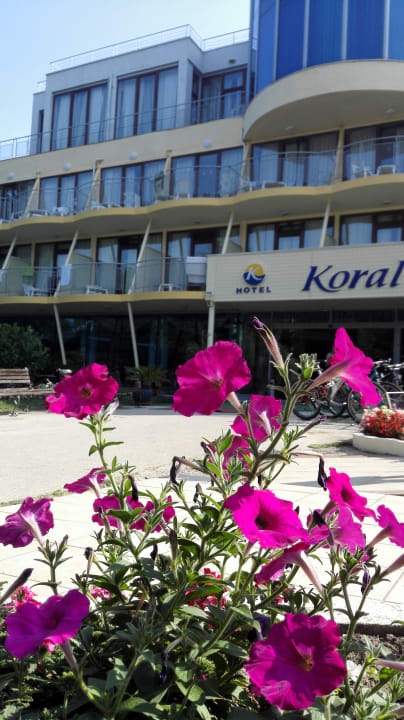 Außenansicht Hotel Koral