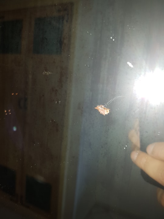 Zimmer Hotel El Mouradi Skanes Beach