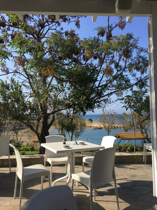 Restaurant Crystal Springs Beach Hotel