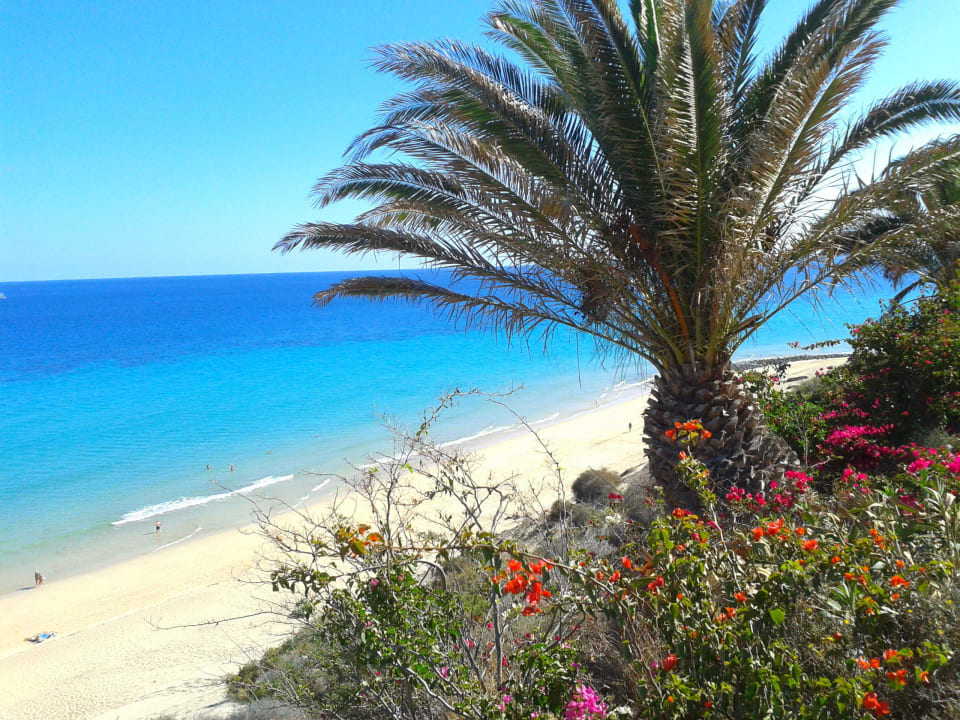 Ausblick Richtung Morro Jable SBH Club Paraiso Playa