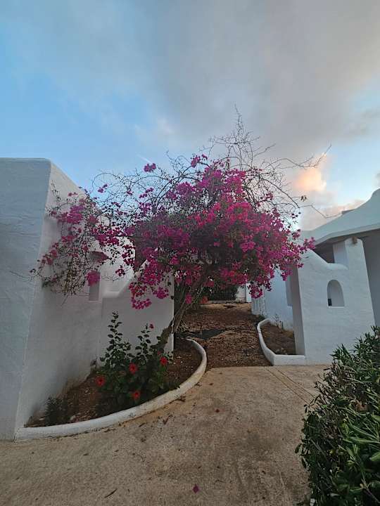 Zimmer Cala Llenya Resort Ibiza