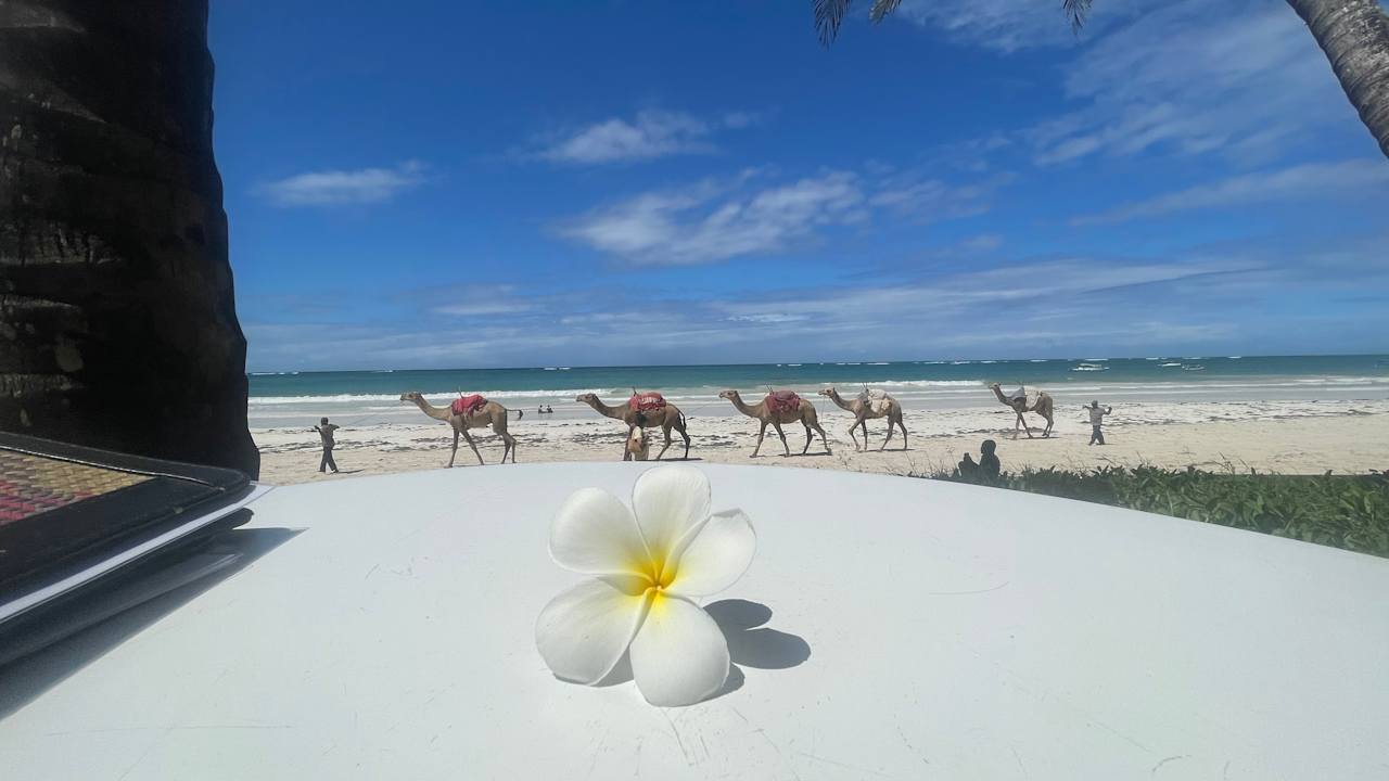 Strand African Dream Cottages