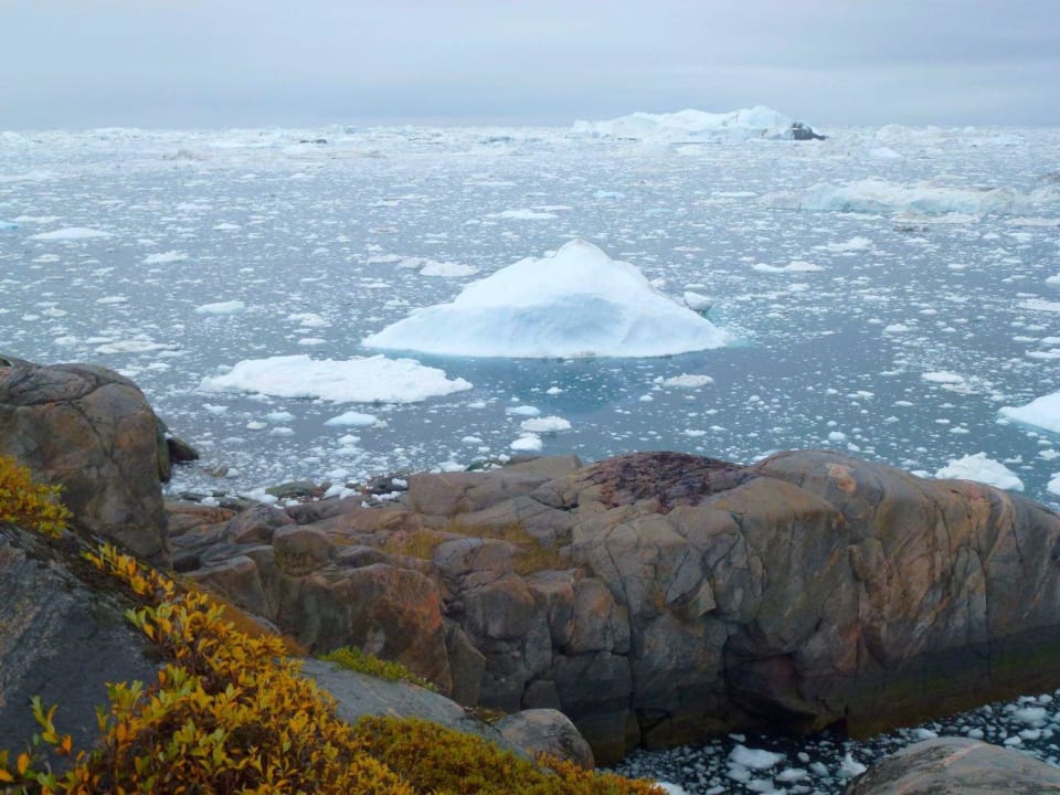 Aublick zur Diskobucht Hotel Icefjord