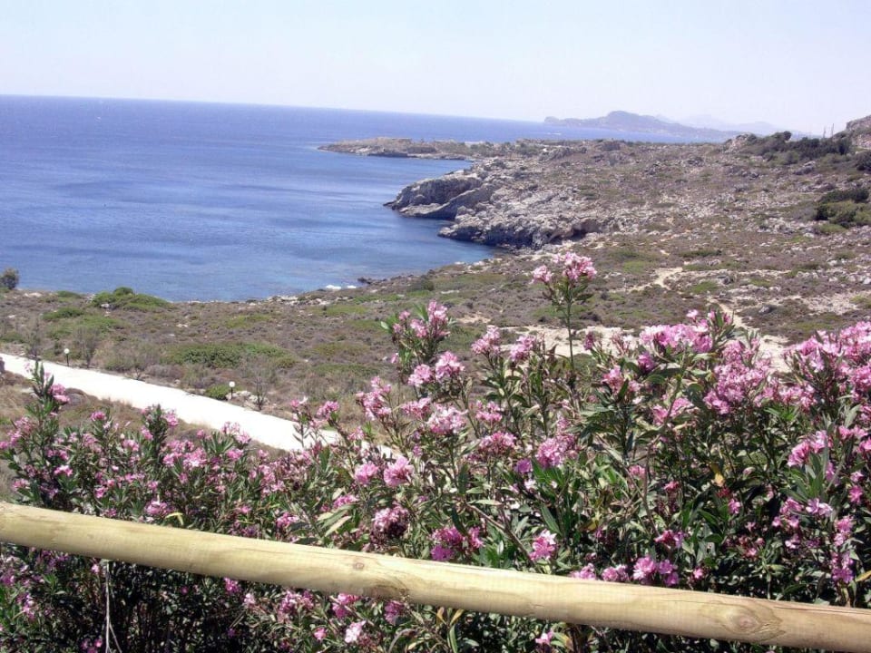 Weg zum Strand Hotel Kalithea Horizon Royal