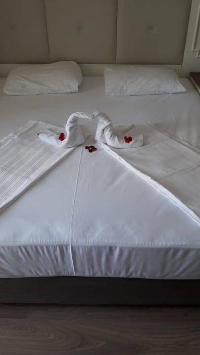 Zimmer Well Palace Side