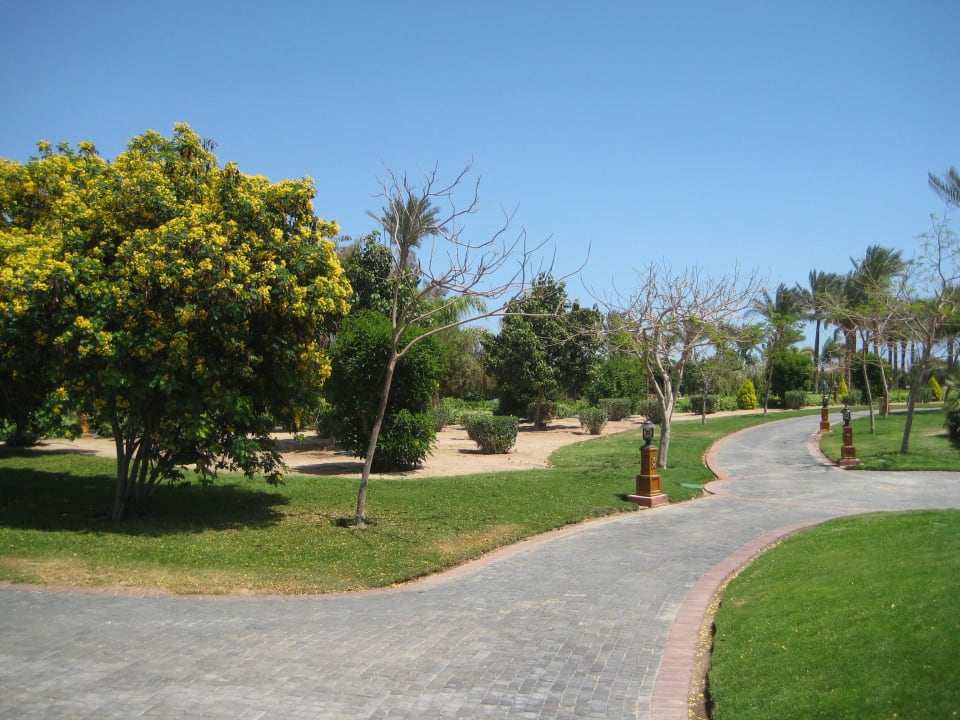 Viel Grün Steigenberger ALDAU Beach Hotel