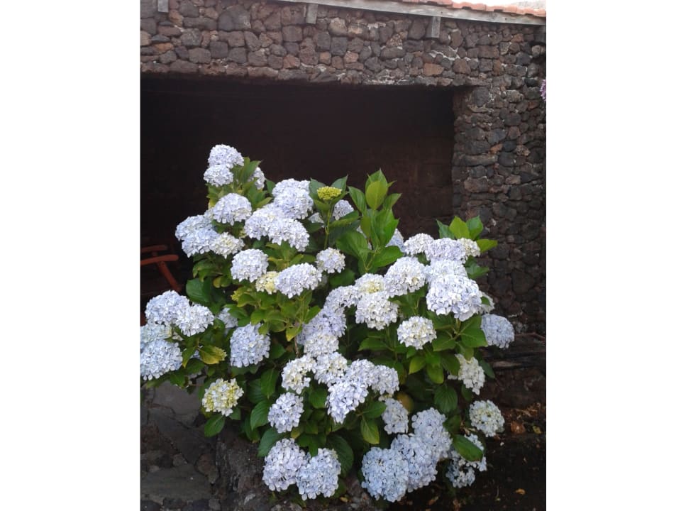 Gartenanlage Casa Rural Aborigen Bimbache