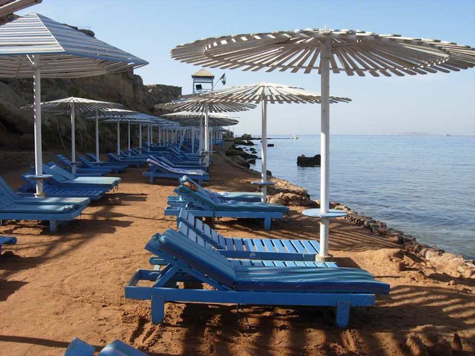 Schöner Strand mit genügend Platz Albatros Sharm Resort