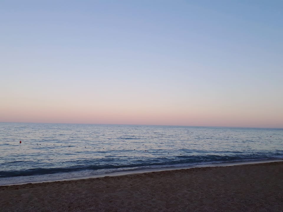 Strand Sentido Marea