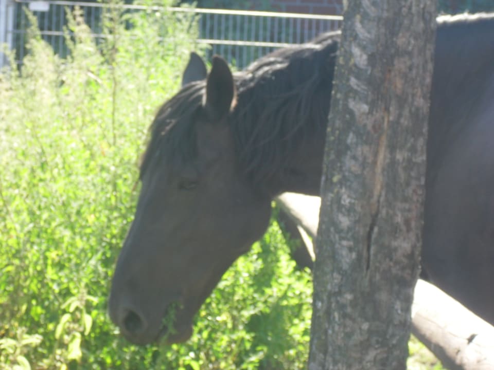 Sonstiges Landhuus Laurenz
