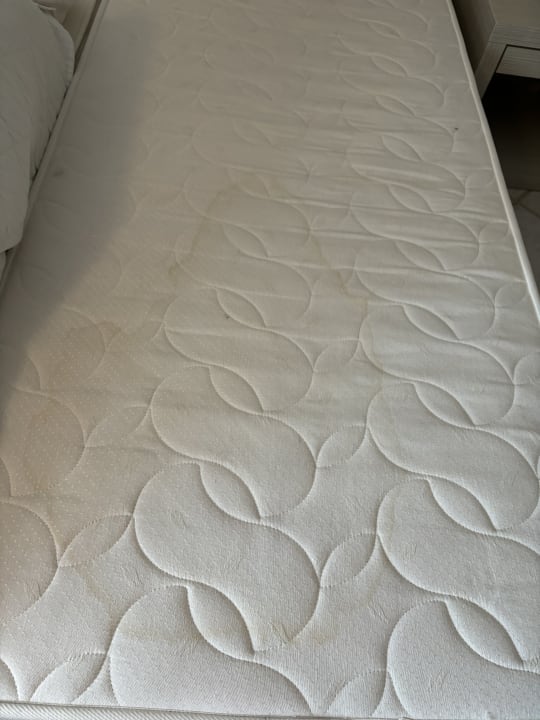 Zimmer Sunshine Rhodes