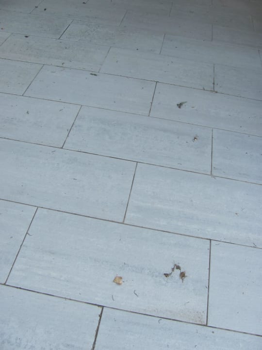 Terrasse Aregai Marina Hotel & Residence