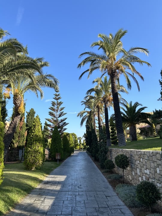 Gartenanlage Hotel Horizon Beach Resort