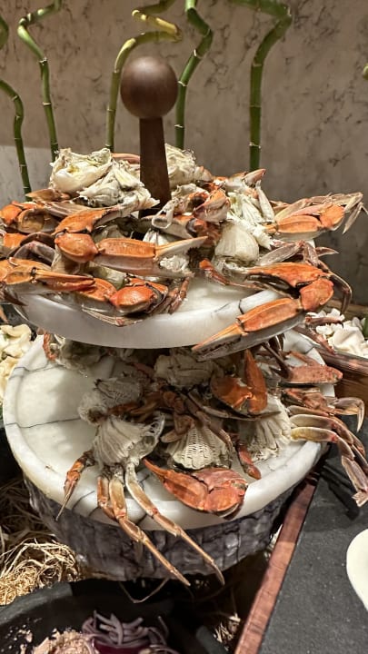 Gastro Acanthus Cennet Barut Collection