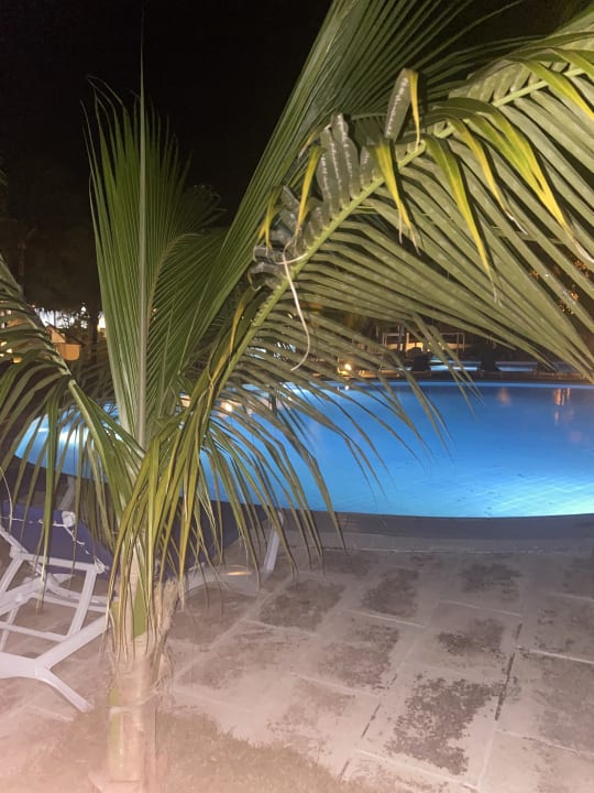 Pool Paradisus Rio de Oro Resort & Spa - Adults only