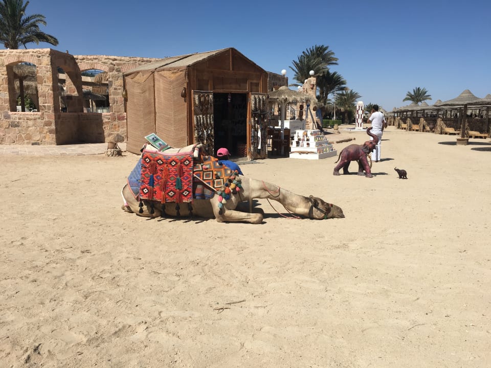 Strand Utopia Beach Club