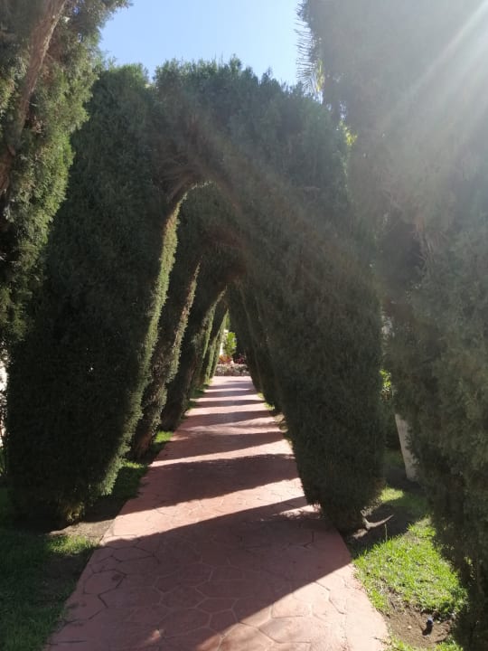 Gartenanlage allsun Hotel Esplendido