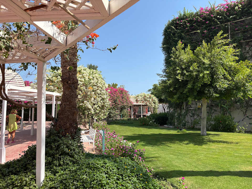 Außenansicht Desert Rose