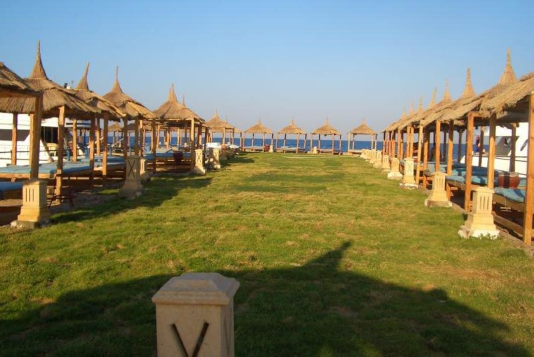 Liegemöglichkeiten Beach Albatros Resort