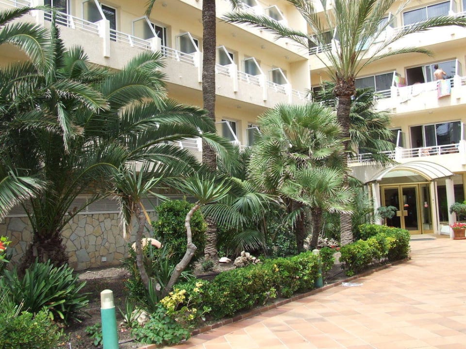 Eingangsbereich The Sea Hotel by Grupotel - Adults only