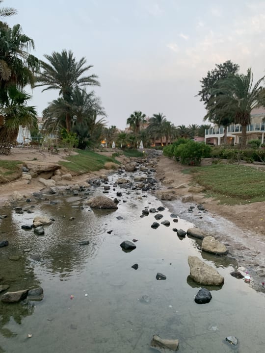 Gartenanlage Mövenpick Resort & Spa El Gouna