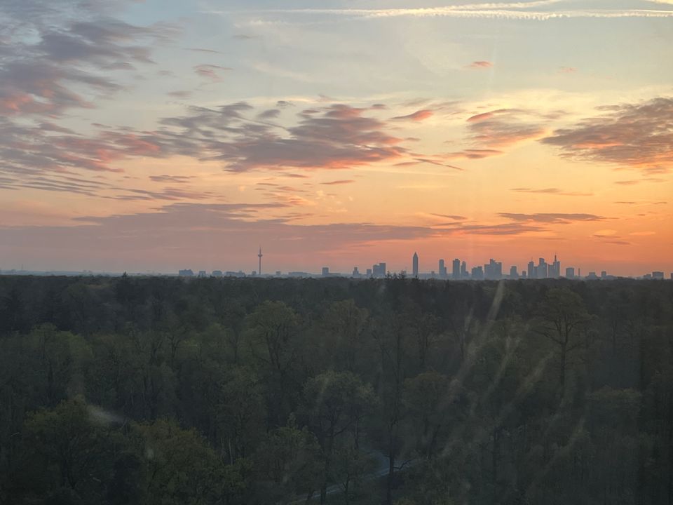 Sonstiges Hilton Frankfurt Airport