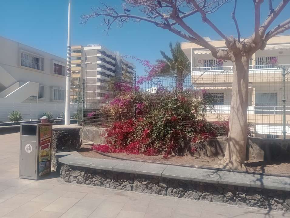 Sonstiges Abora Buenaventura by Lopesan Hotels