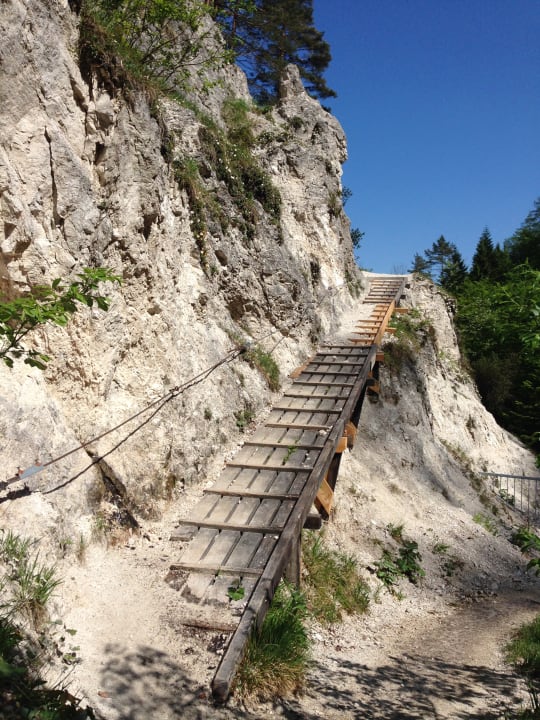 Sonstiges Almhotel Grünsteinblick