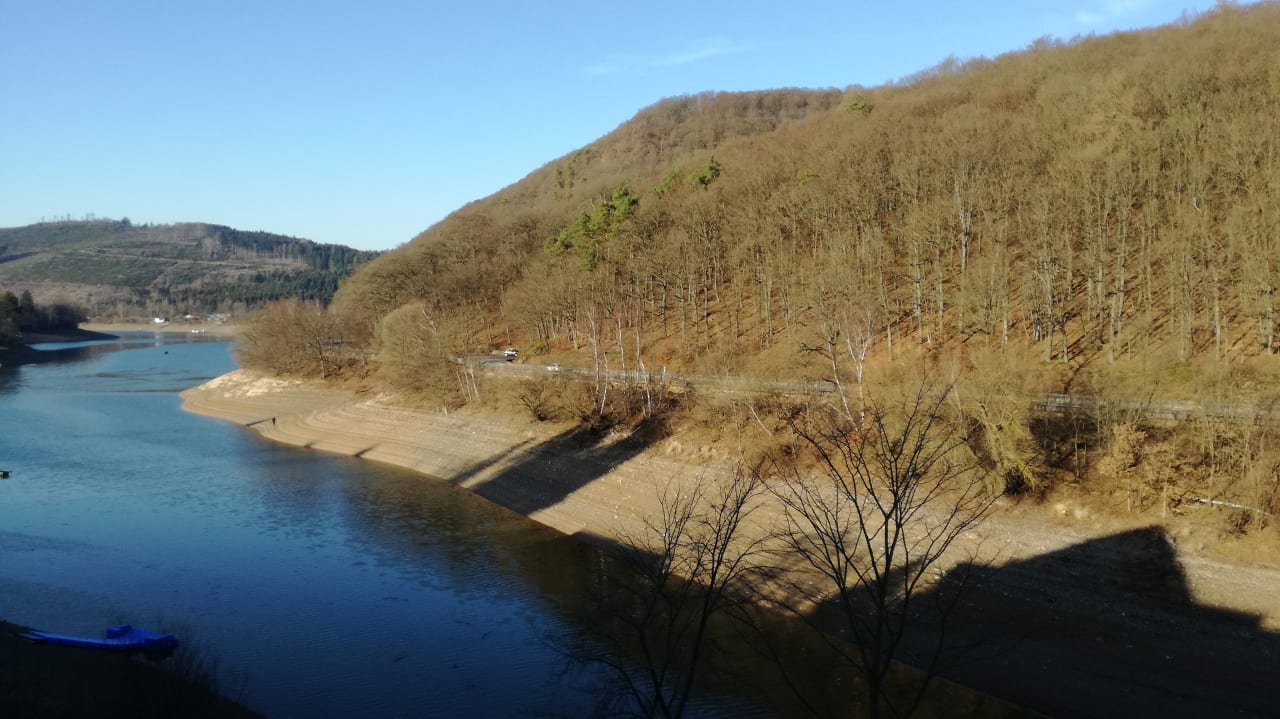 Ausblick Göbel's Seehotel Diemelsee