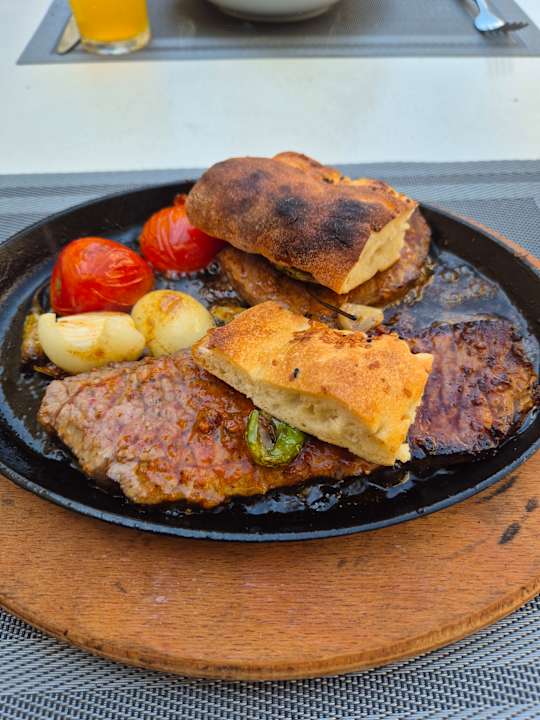 Gastro Seashell Vega