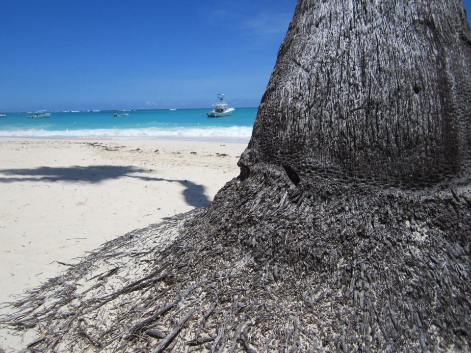 "Meer" geht nicht  Grand Palladium Select Bávaro Resort & Spa