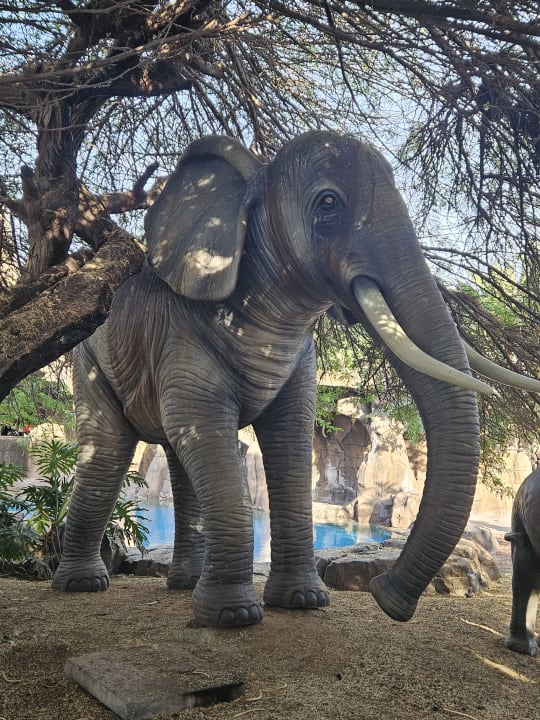 Gartenanlage Lopesan Baobab Resort