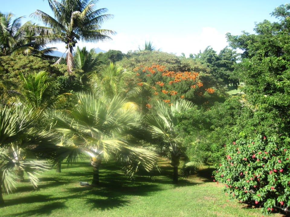 Ausblick in den Garten Maritim Resort & Spa Mauritius