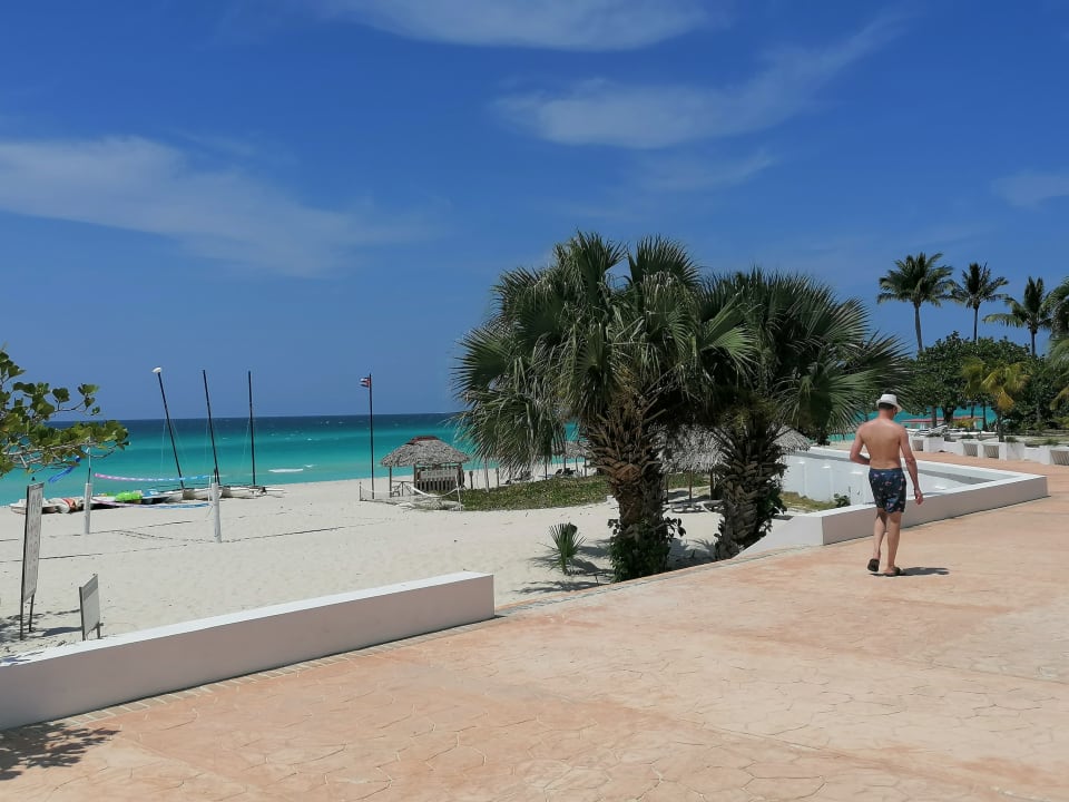 Strand Starfish Cuatro Palmas