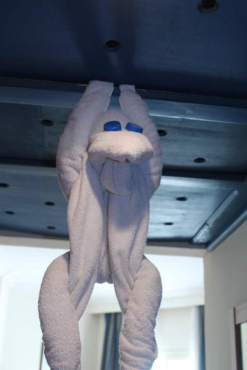 Вот такое чудо было у нас в номере Le Jardin Aqua Park Resort