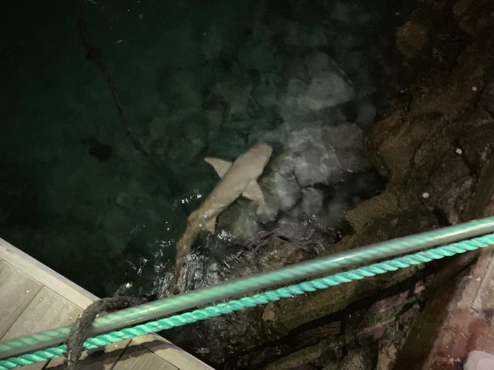 Sonstiges Kuredu Island Resort & Spa