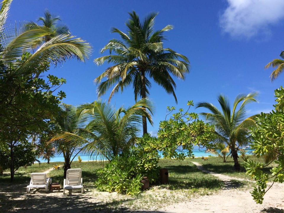 Blick von der Veranda Meeru Maldives Resort Island