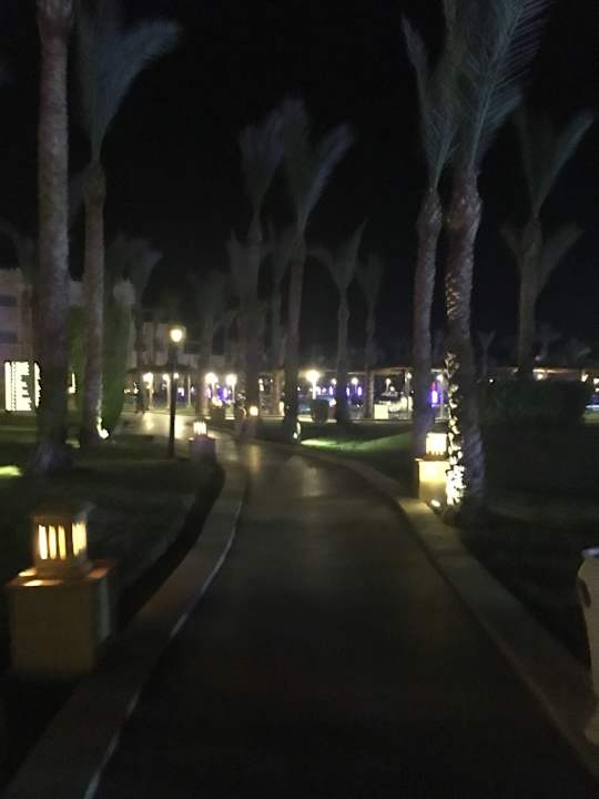 Gartenanlage Pickalbatros Palace Resort