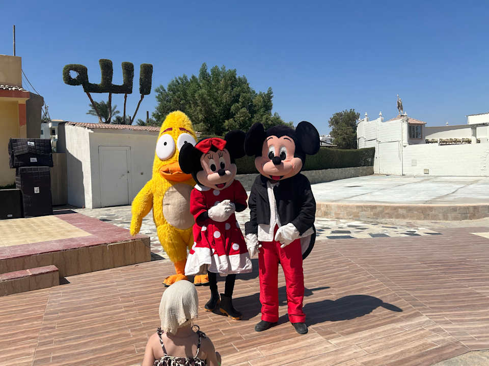 Sport & Freizeit Seagull Beach Resort