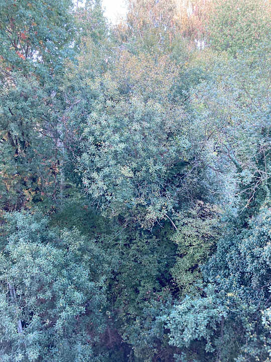 Außenansicht Best Western Plaza Hotel Zwickau