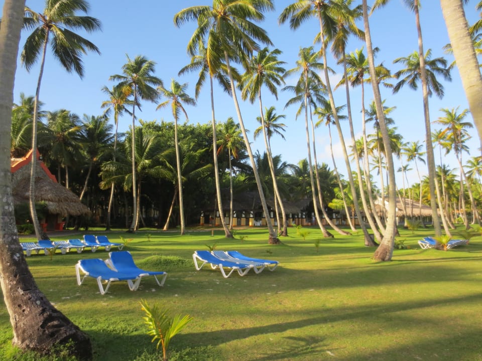 Liegewiese am Beach Wyndham Alltra Samana