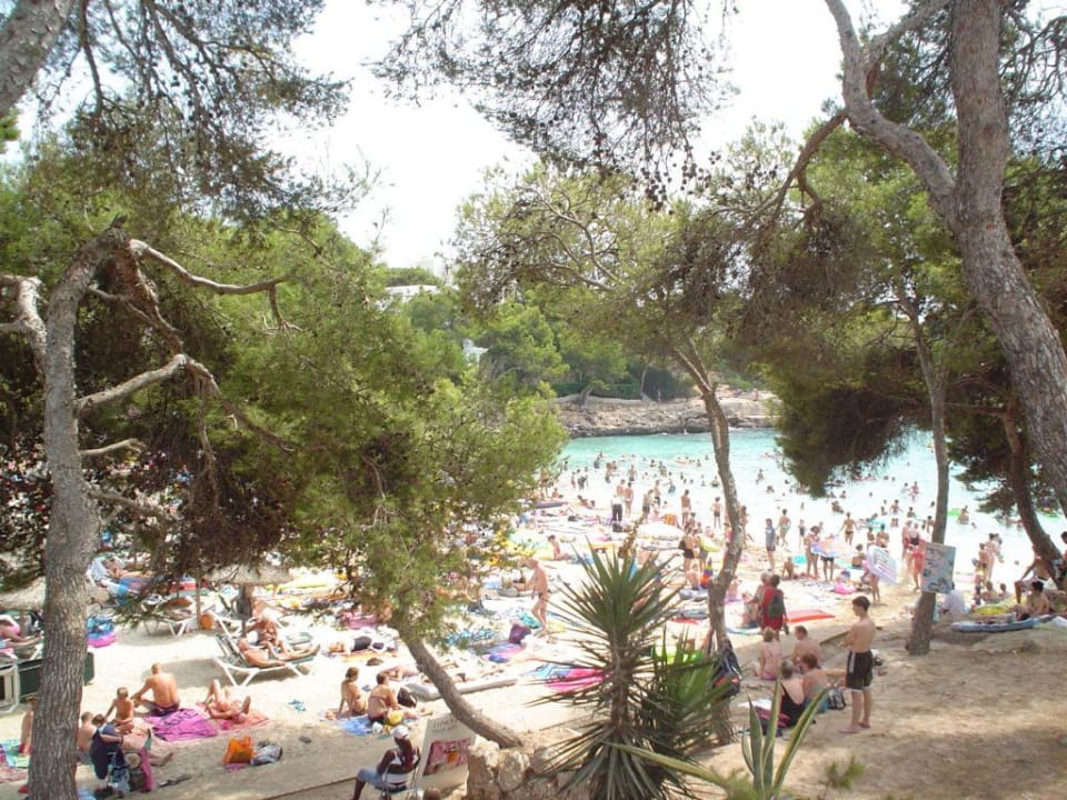 Der Strand am Nachmittag Grupotel Rocador